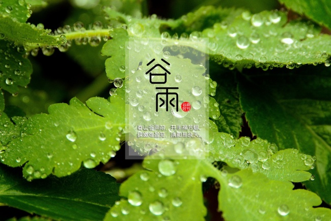 八字合婚的核心奥秘