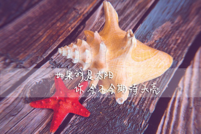 八字合婚究竟准不准？