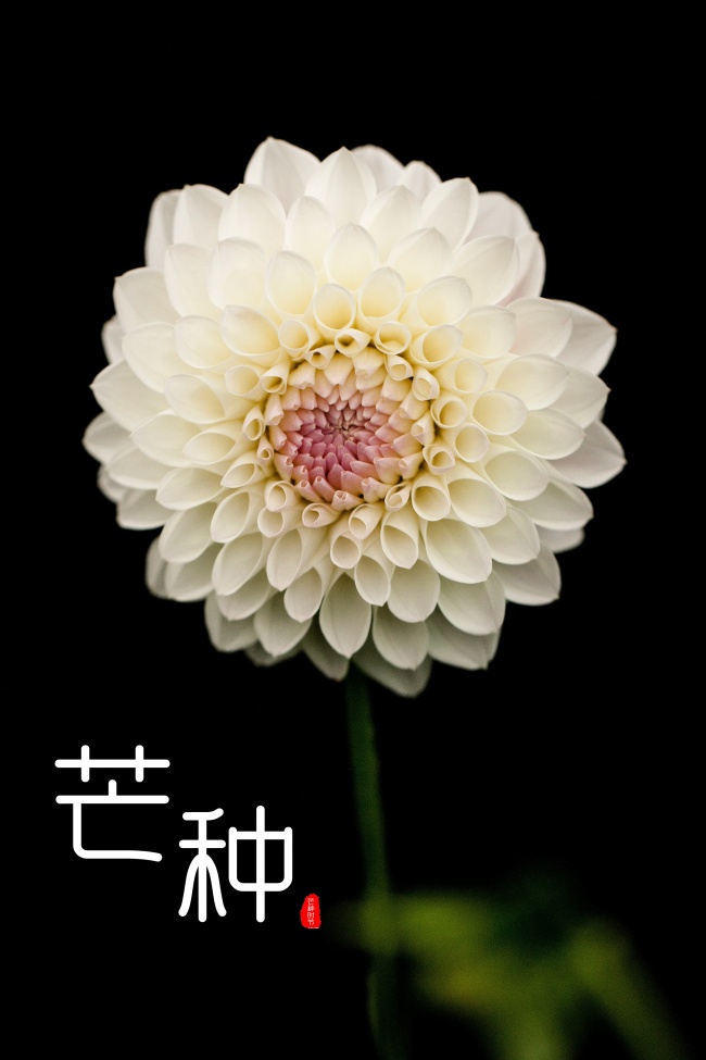 阴阳五行分析：2014年出生的人是什么命？