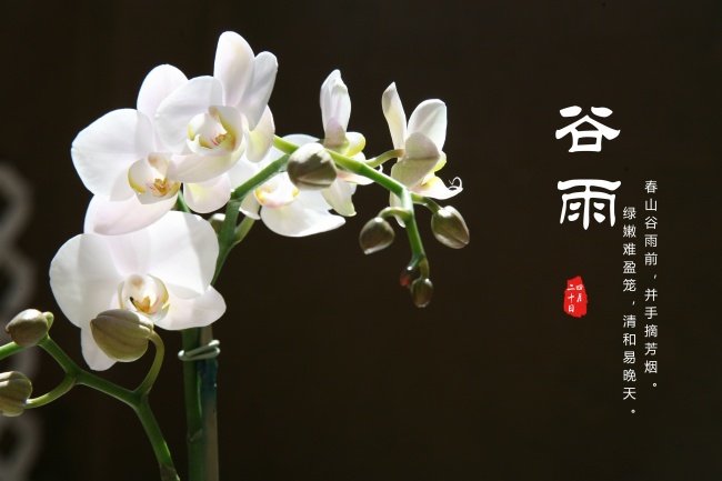 好字五行属什么 好字女孩取名寓意