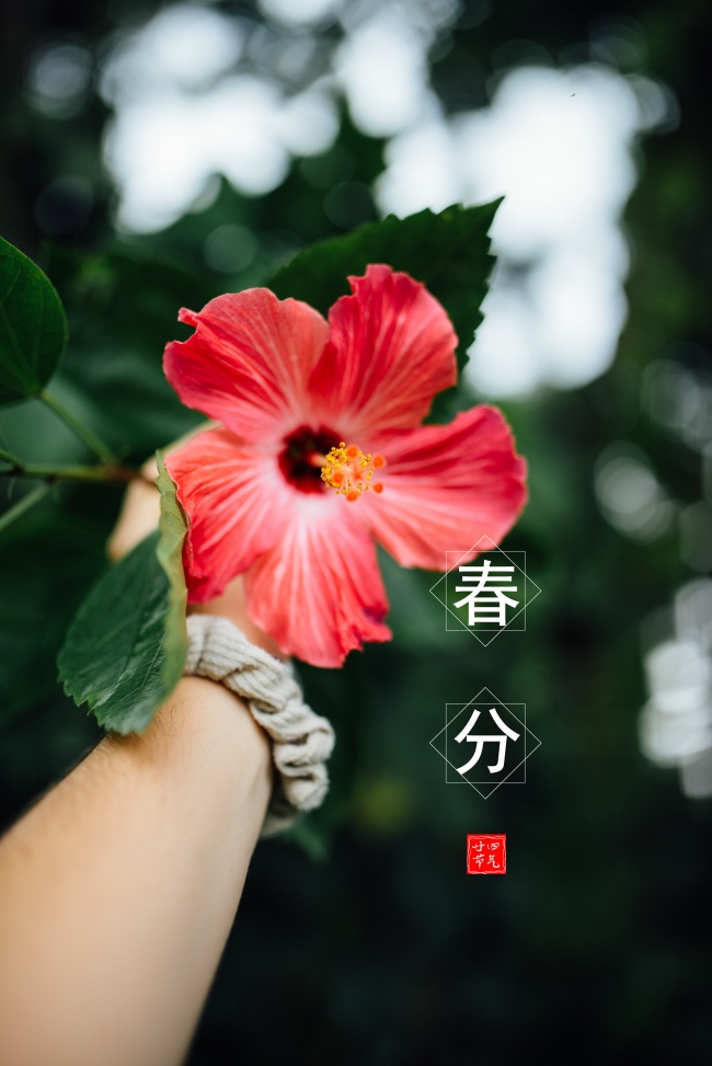 命带煞星的人命运如何 命运详解
