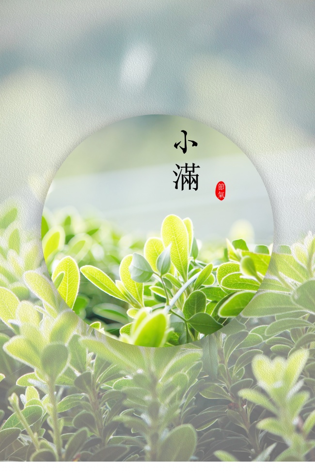 进口公司起名 比较顺口的公司名字推荐