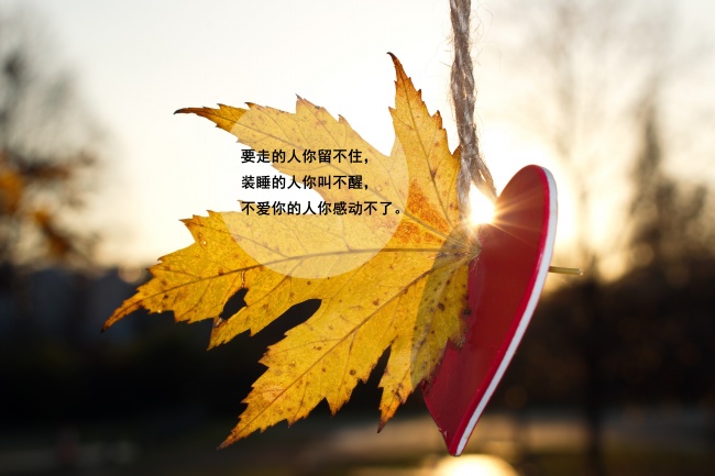 梦中大部分的象征 事实上全是性的象征