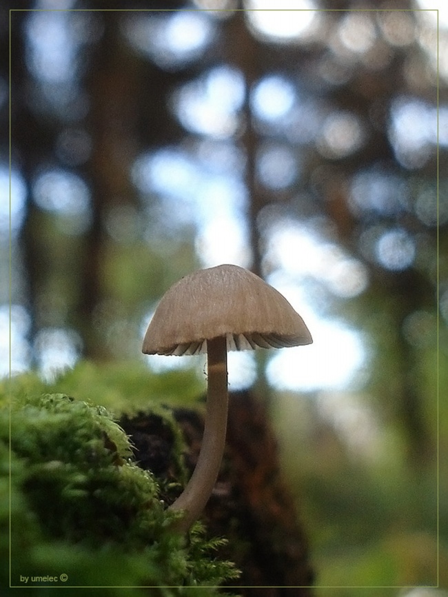 星座爱情：最容易错过彼此的星座CP 
