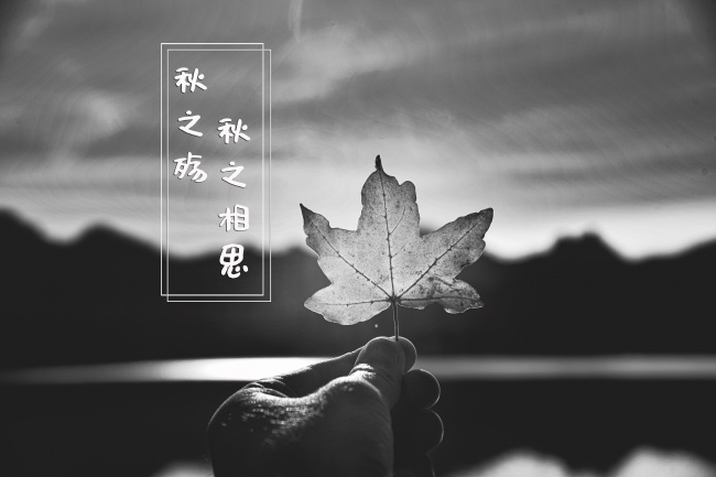 1971猪和1975兔婚配好吗