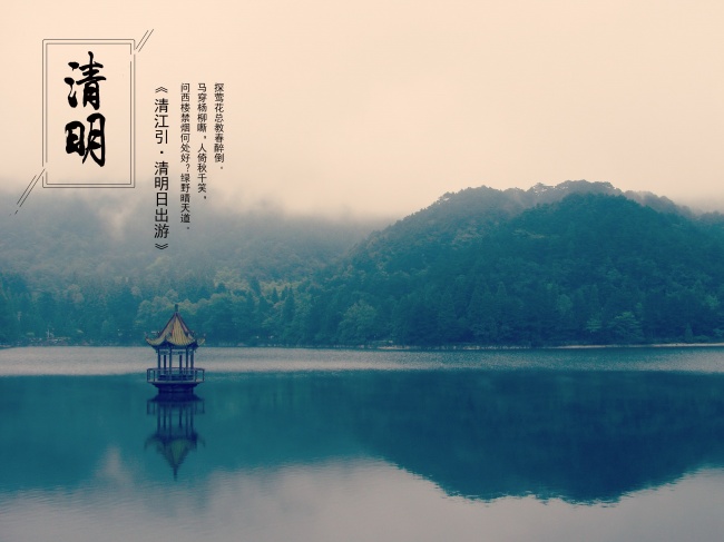 吸尼古丁最好的植物之君子兰