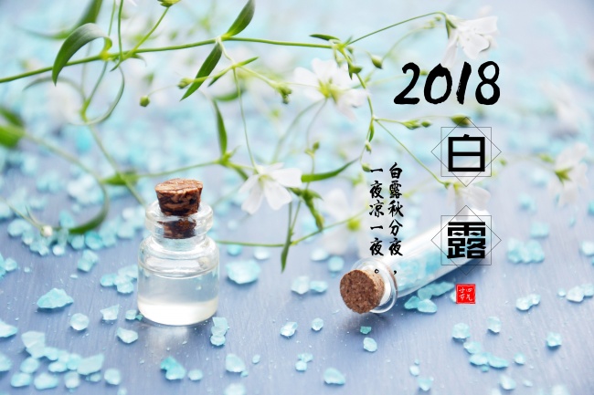 1982年属狗和1971年的猪婚姻好吗 合适吗他们