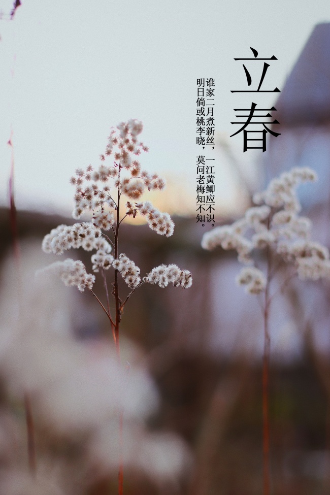 十二星座谁是天生漂亮