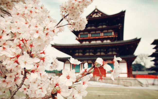 狂月天时 十二星座每日运势吉凶6月6日