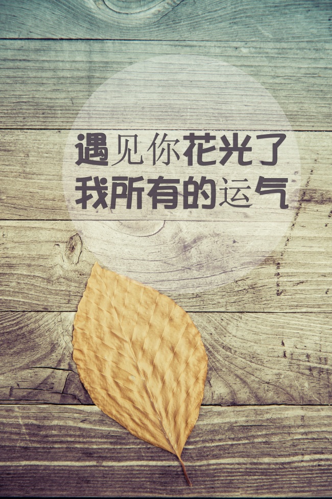 容易离婚 婚姻运不好的生肖