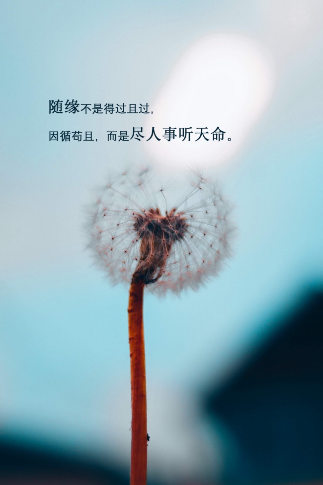 1985牛和19788马属相合不合 两人配不配