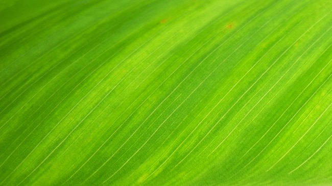 属牛天蝎座2021爱情运 桃花运 财富运分析