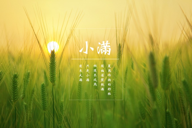 天龙座流星雨将至 2020几点出现