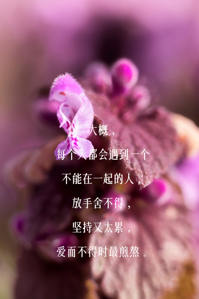 三八 最喜欢嚼舌根子的三大属相男
