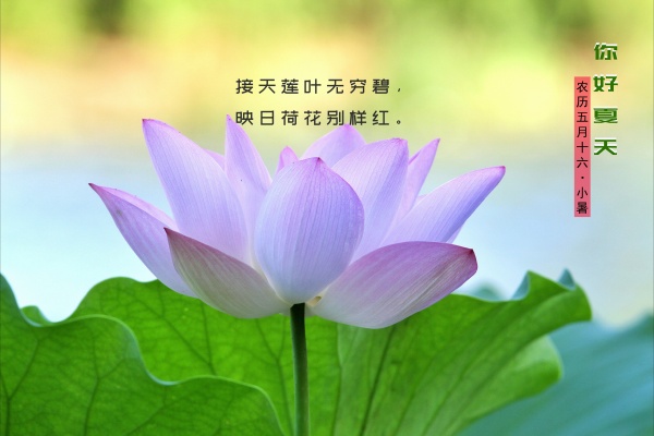 1974虎和1972鼠结婚好不 相配吗