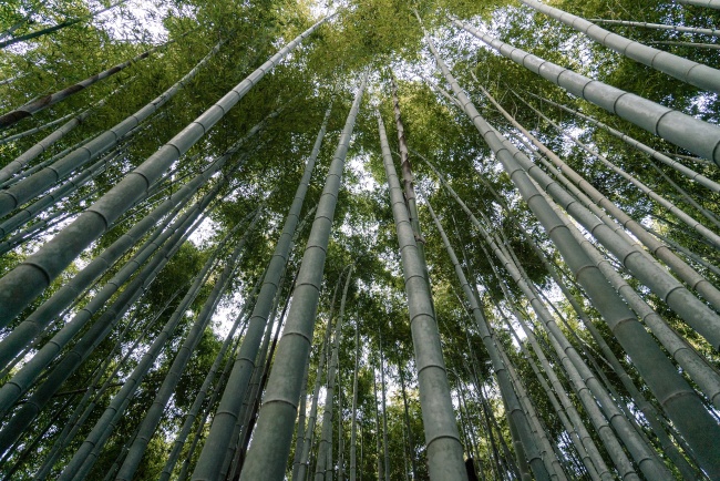 在职场中混得最差的星座 总是吃亏