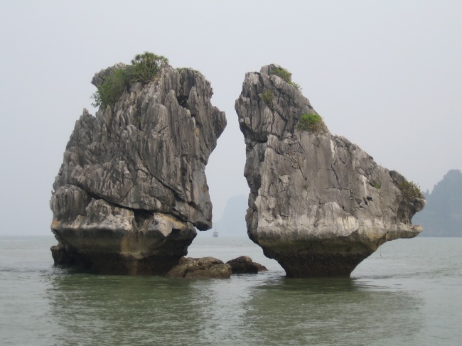 三月属虎宝宝名字大全&nbsp;好听雅致