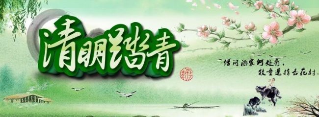 家里好多蚂蚁