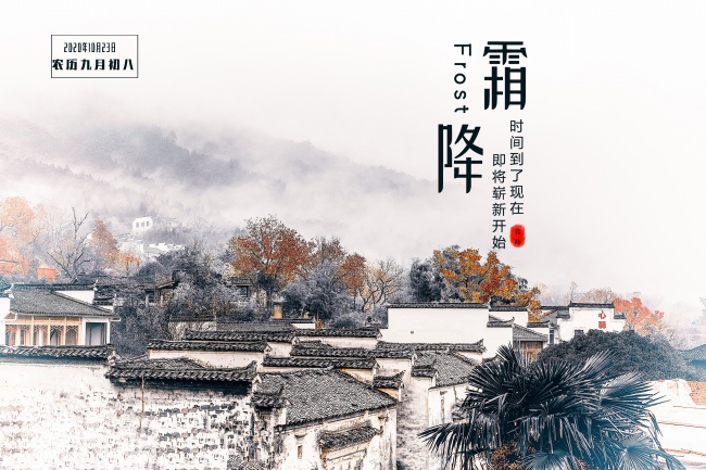 这四大属相的衡量非常大 非常值得交朋友