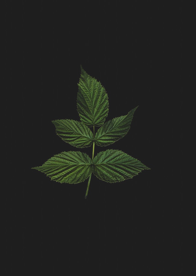 虎年给出生的孩子的取名宜用字 娓娓动听的