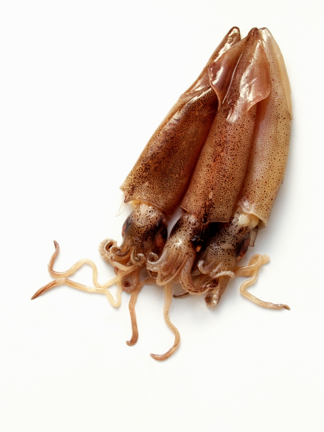 属狗白羊座和属鼠处女座爱情结局好不好