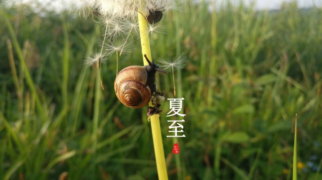 爱占小便宜 过后还得意忘形的属相