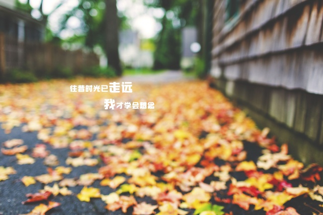 属龙双子男喜欢一个人的表现有哪些