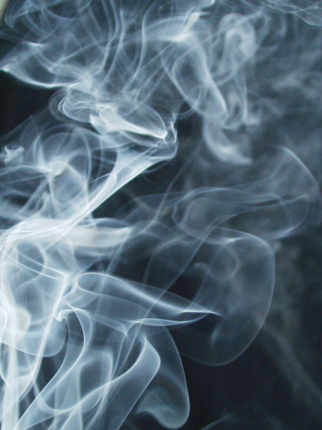 别人一两句好话就被灌了迷魂药的属相