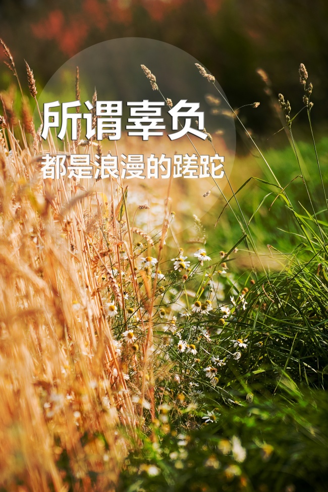 属虎狮子男生喜欢怎样的女人