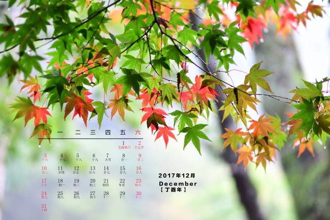 十二属相的婚配太准了 五行中的三六合贵人详解