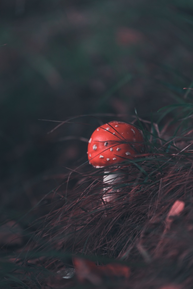 狂月天时 十二星座每日运势10月7日