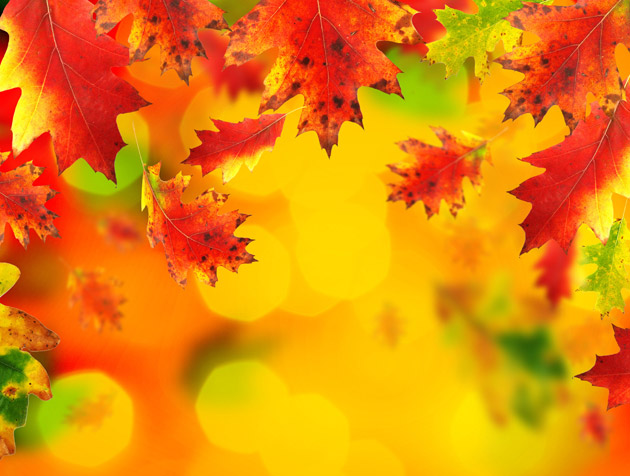 恭喜!11月中旬,桃花夭夭,好事临门的星座
