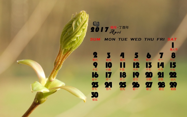 不适合婚配的生肖