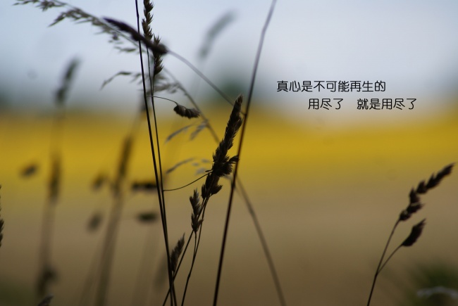 白羊座男生和摩羯座女生般配吗 配对指数是多少