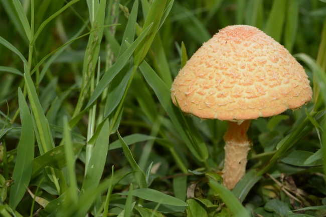 双子座闺中密友的夺爱潜质？ 找一万条理由夺爱