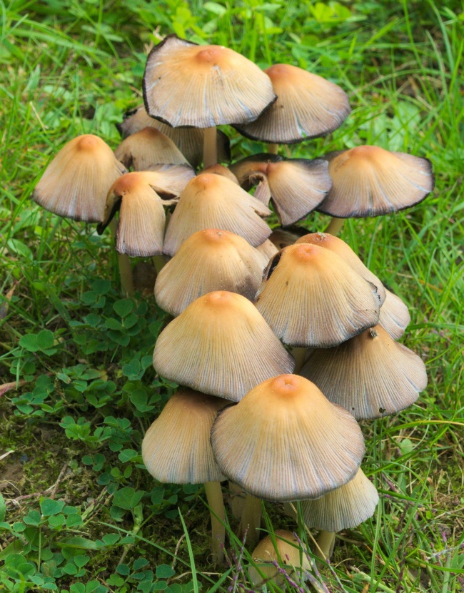 1月下旬贵人运最好的3星座 暴富没问题