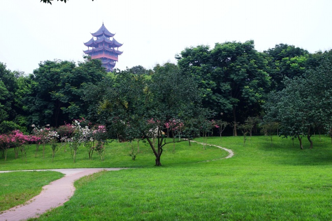 2022年春节属什么生肖 属牛还是属虎