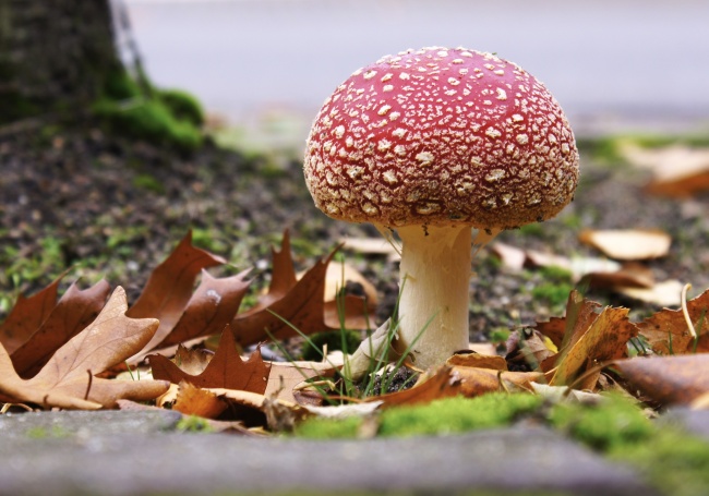 有寓意的装修公司名字大全集
