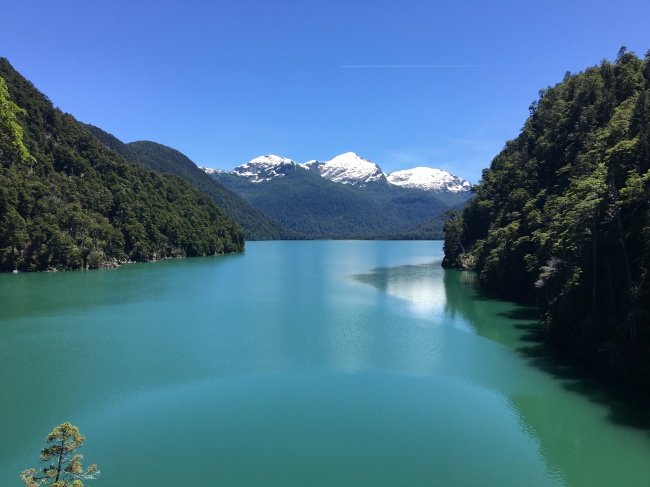 冥界三途河边忘川彼岸接引之花 彼岸花