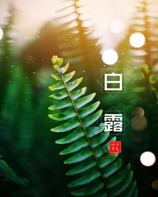 最令人伤心的爱情 2022年春节感情遇挫的生肖