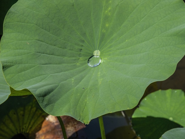 能陪金牛座一辈子到老的星座 欢乐调节生活
