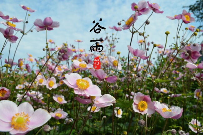 只爱老婆一人的生肖男 遇上就嫁了吧