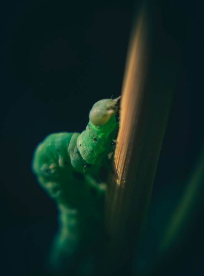 有诗意的企业名 起名时注意什么