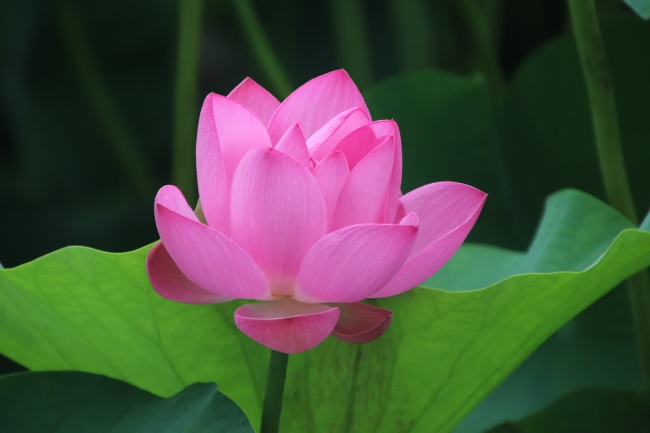 唐立淇  每日星座运势11.24