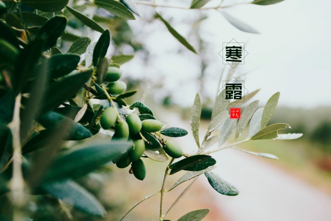 房子符合哪些标准才是风水好房