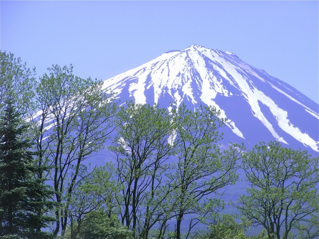 [今日运势]属猴运势