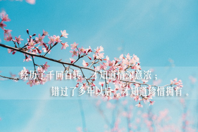 杨清华 十二生肖一周运势11.28-12.04