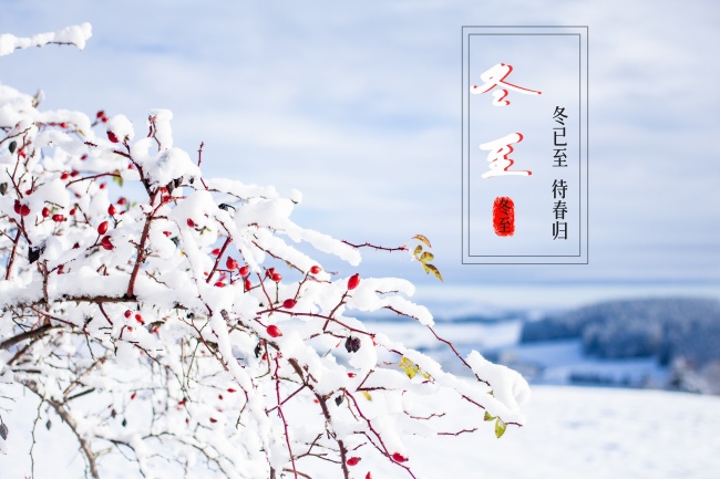 天蝎座合不来的三大星座 天蝎与处女为针尖对麦芒