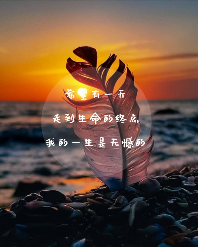 腊月的猪男命运怎么样 天生福星则一生吃喝不愁