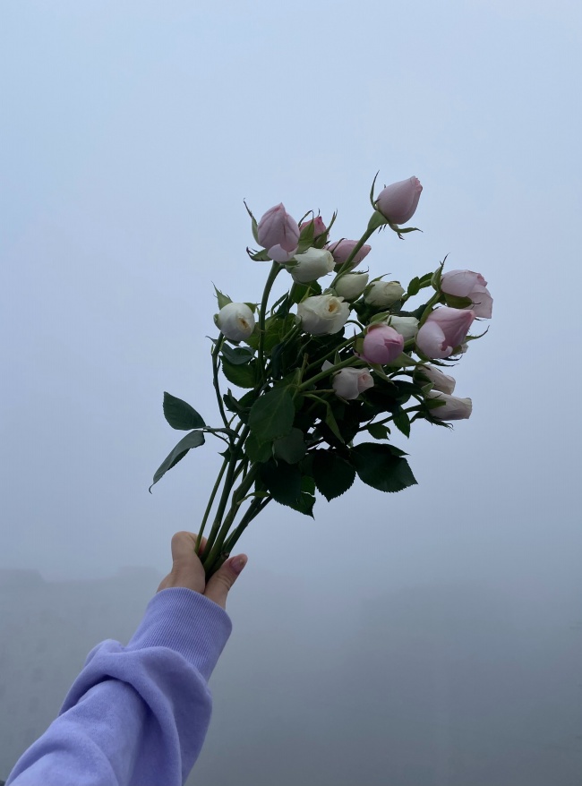 2023年春节狮子座桃花方位 求爱位置
